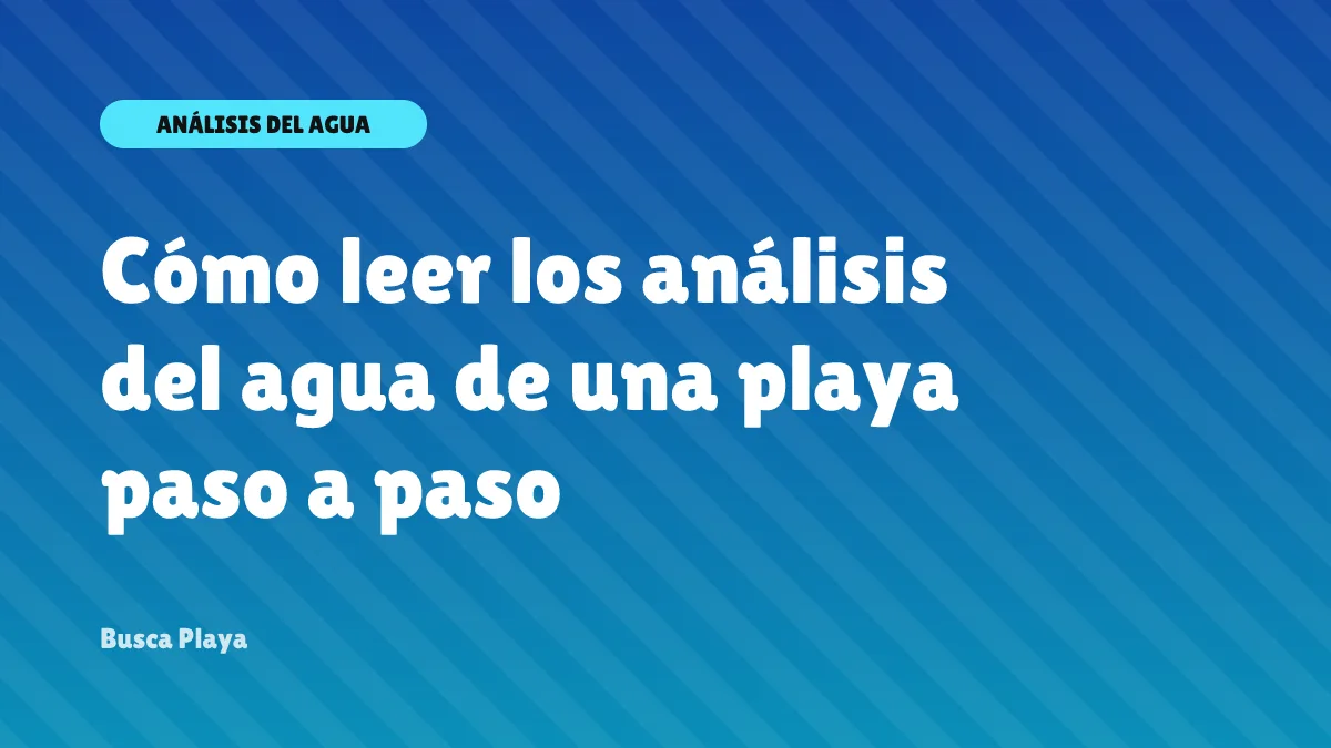 Cómo leer los análisis del agua de una playa paso a paso