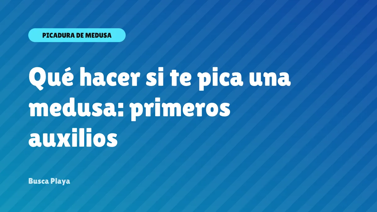 Qué hacer si te pica una medusa: primeros auxilios